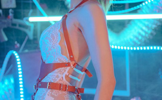 鹿八岁 – 红色皮革 [29P+1V-538MB]