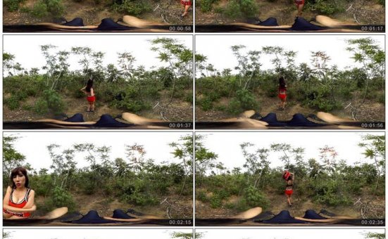 [108酱TV]VR系列 2016.11.02 田小燕小树林连的秘秘 [1V]