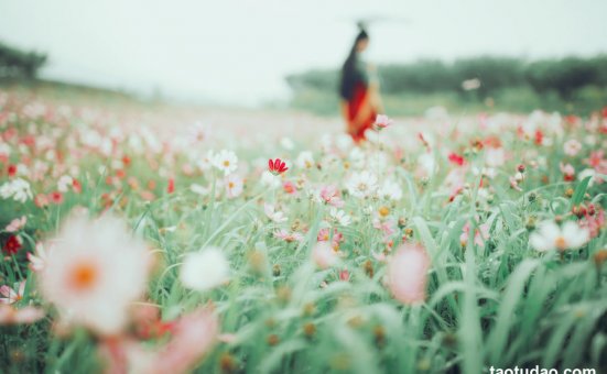 [YITUYU艺图语]2023.04.26 花语 小温暖想要个大太阳 [23+1P／231MB]