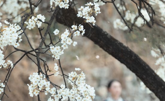 [YITUYU艺图语]2023.05.07 十里春风梨花如雨 薇薇[49+1P／828MB]