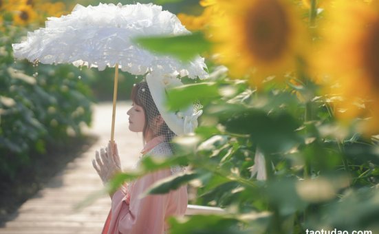 [YITUYU艺图语]2023.05.09 向日葵的回忆 兔子Zzz不吃胡萝卜[22+1P／293MB]