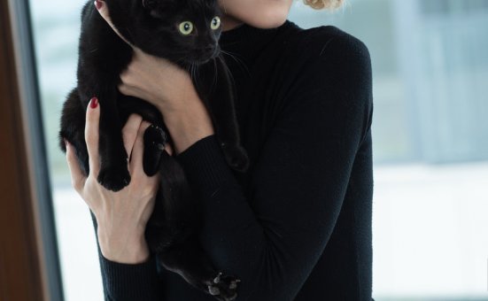 Candy Ball –Catwoman[96P+27V-3.66G]